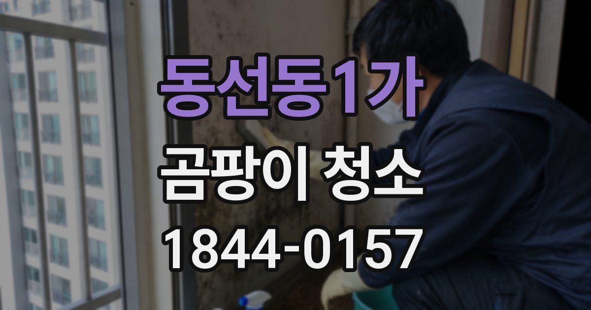 동선동1가 곰팡이 청소