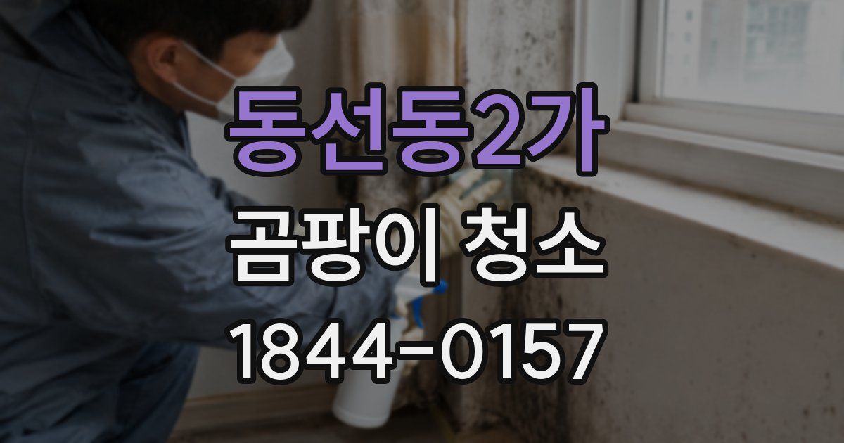 동선동2가 곰팡이 청소