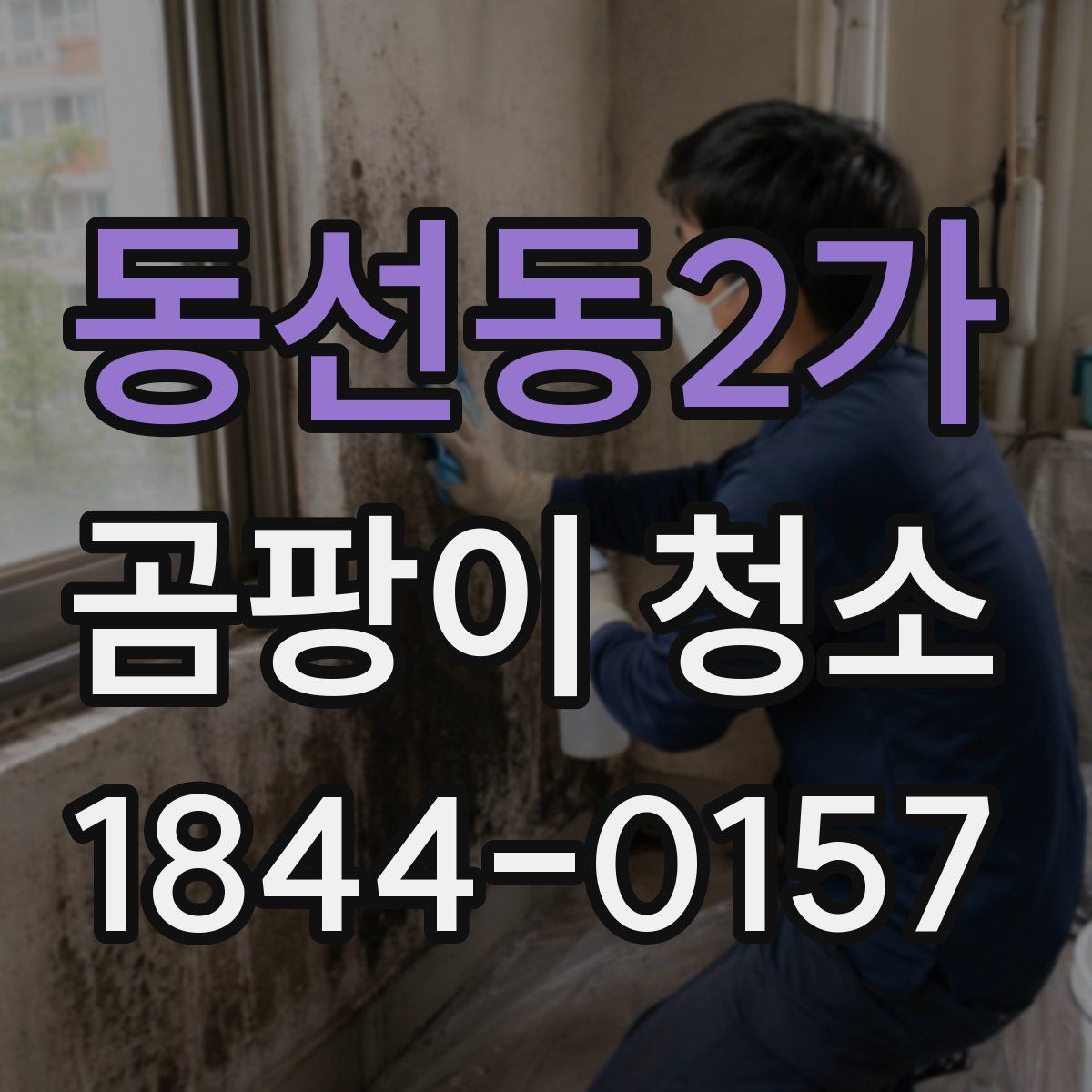 동선동2가 곰팡이 청소
