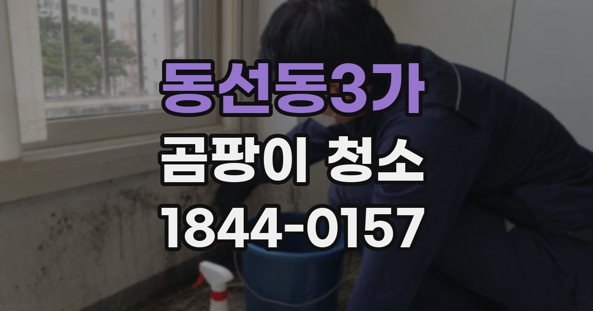 동선동3가 곰팡이 청소