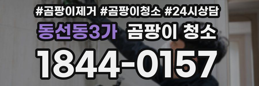 동선동3가 곰팡이 청소