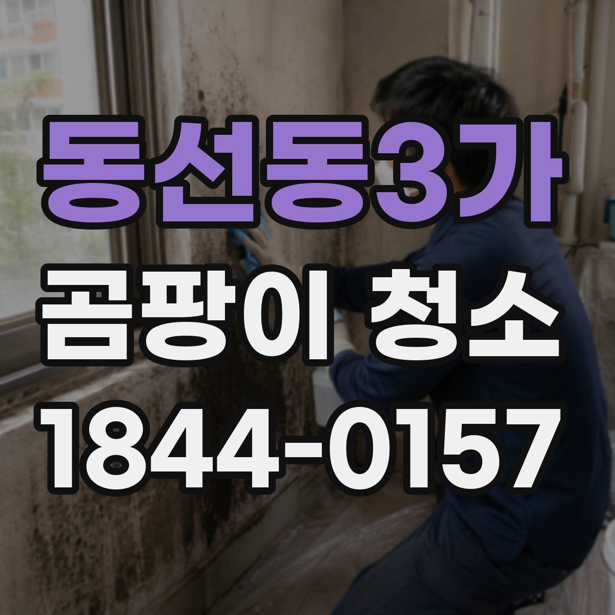 동선동3가 곰팡이 청소