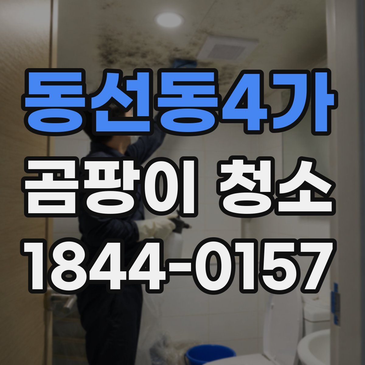 동선동4가 곰팡이 청소