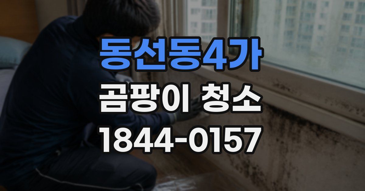 동선동4가 곰팡이 청소