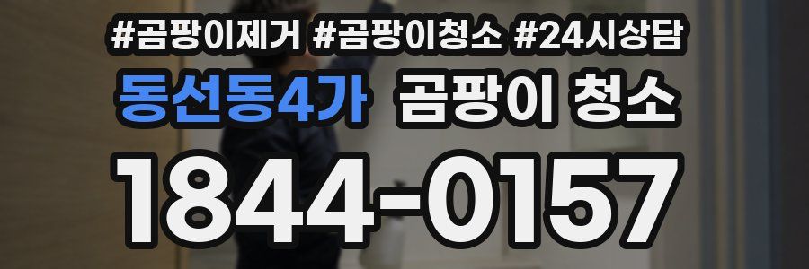 동선동4가 곰팡이 청소