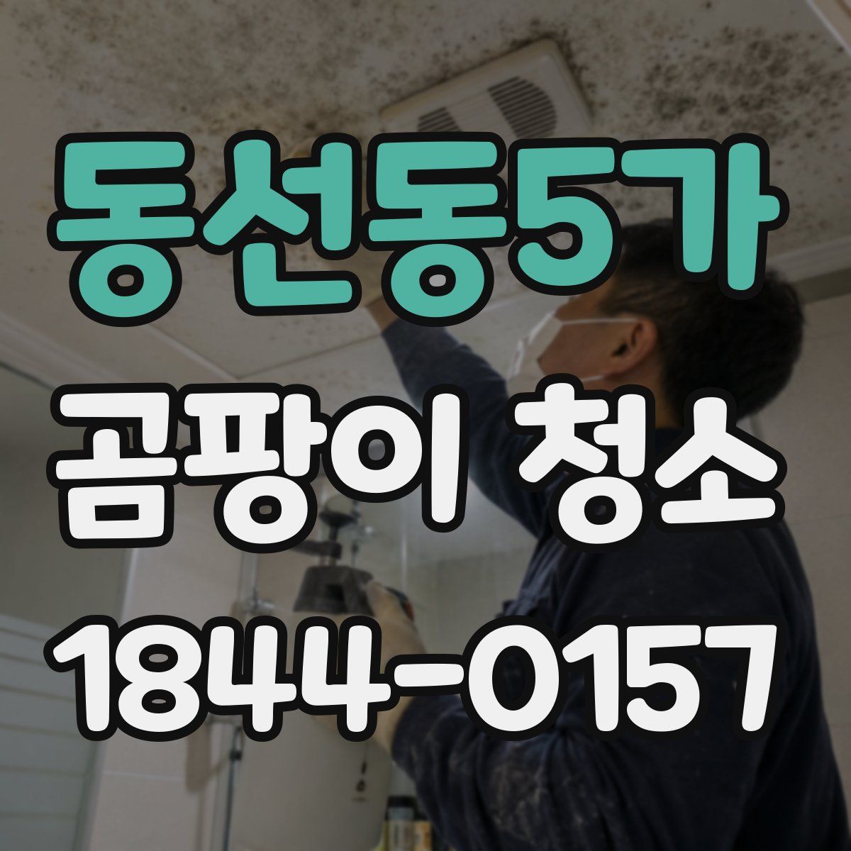 동선동5가 곰팡이 청소