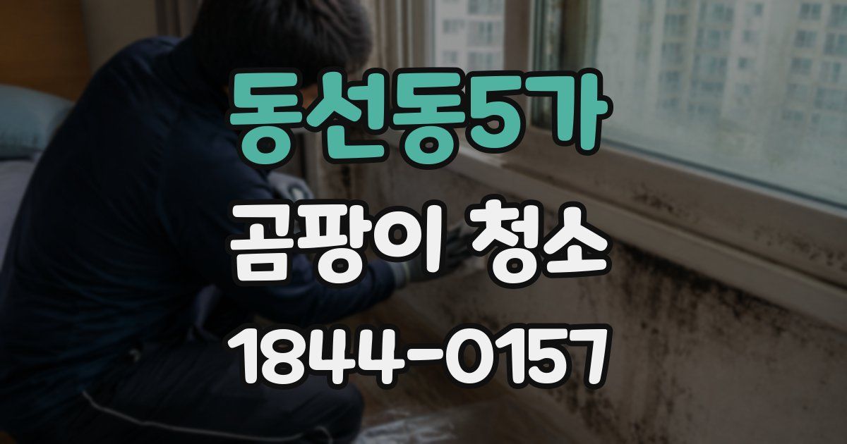 동선동5가 곰팡이 청소