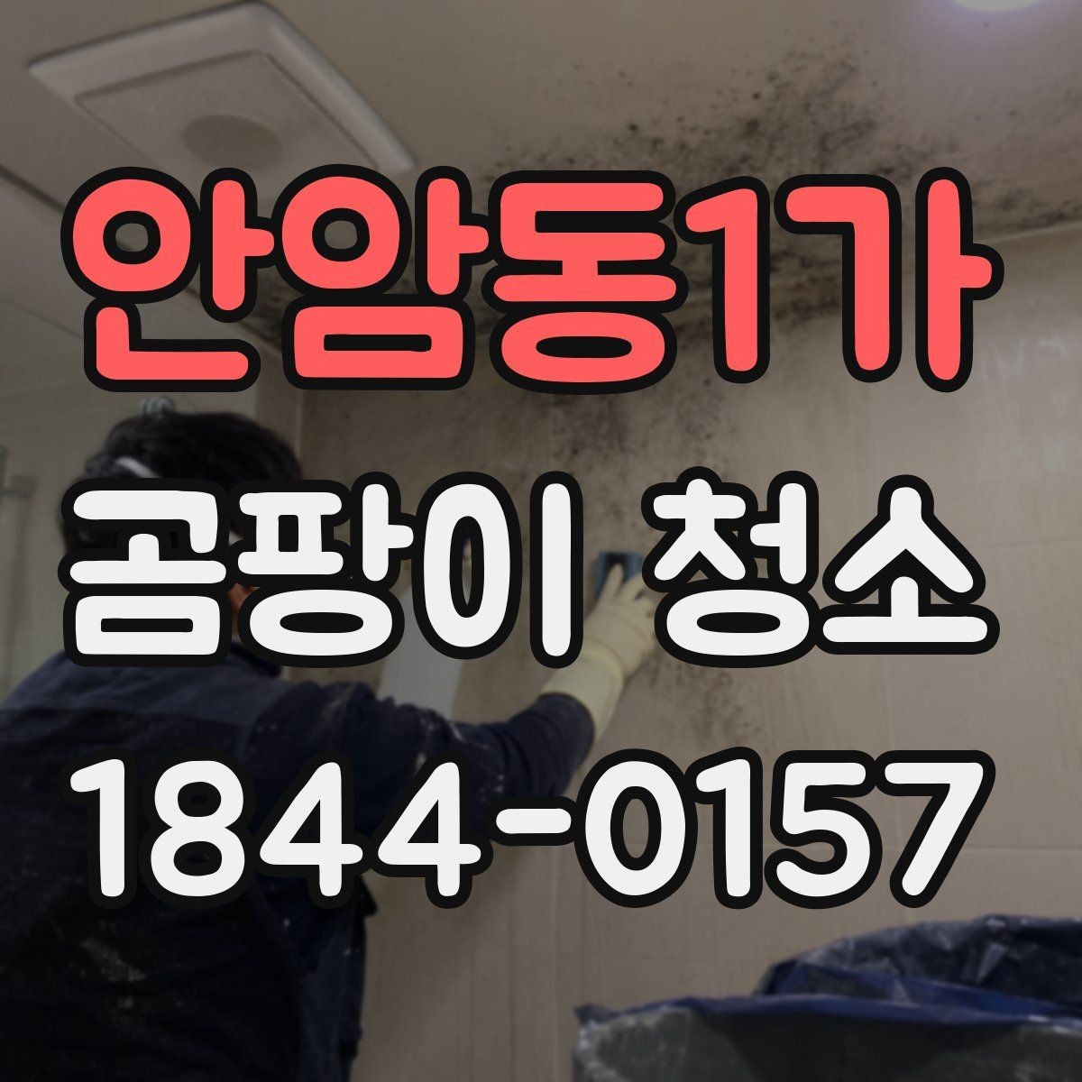 안암동1가 곰팡이 청소 재발 원인을 줄이기 위한 실내 환경 진단