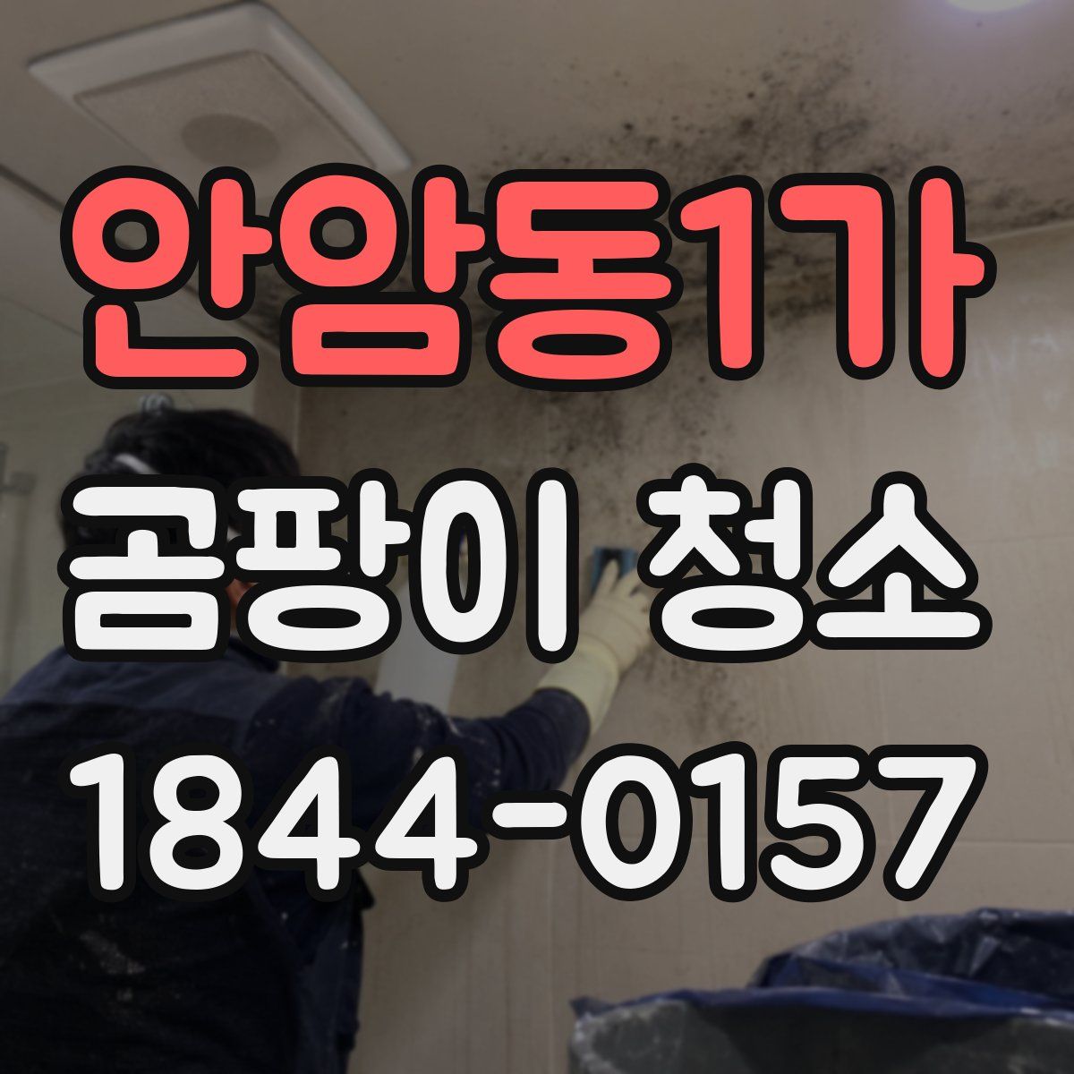 안암동1가 곰팡이 청소