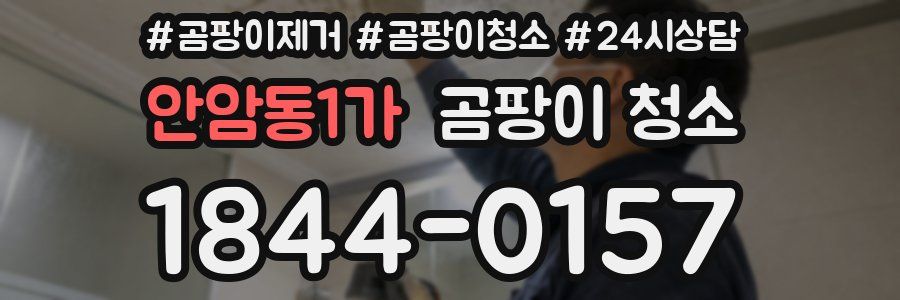 안암동1가 곰팡이 청소