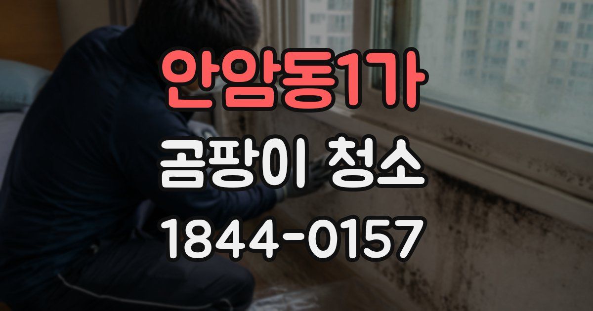 안암동1가 곰팡이 청소