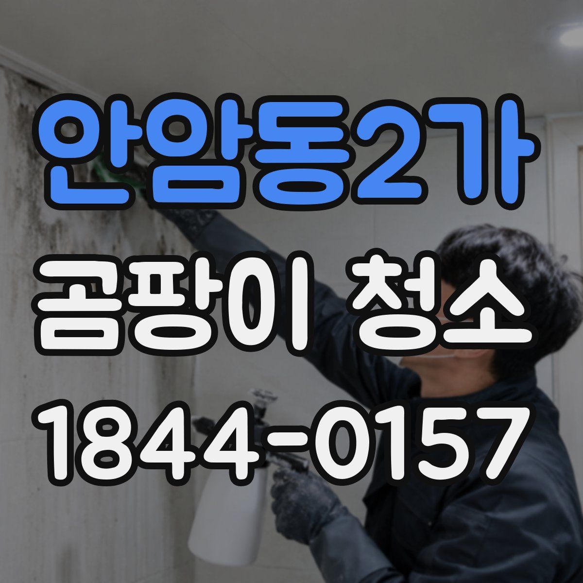 안암동2가 곰팡이 청소