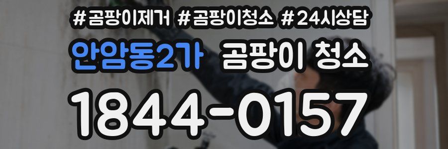 안암동2가 곰팡이 청소