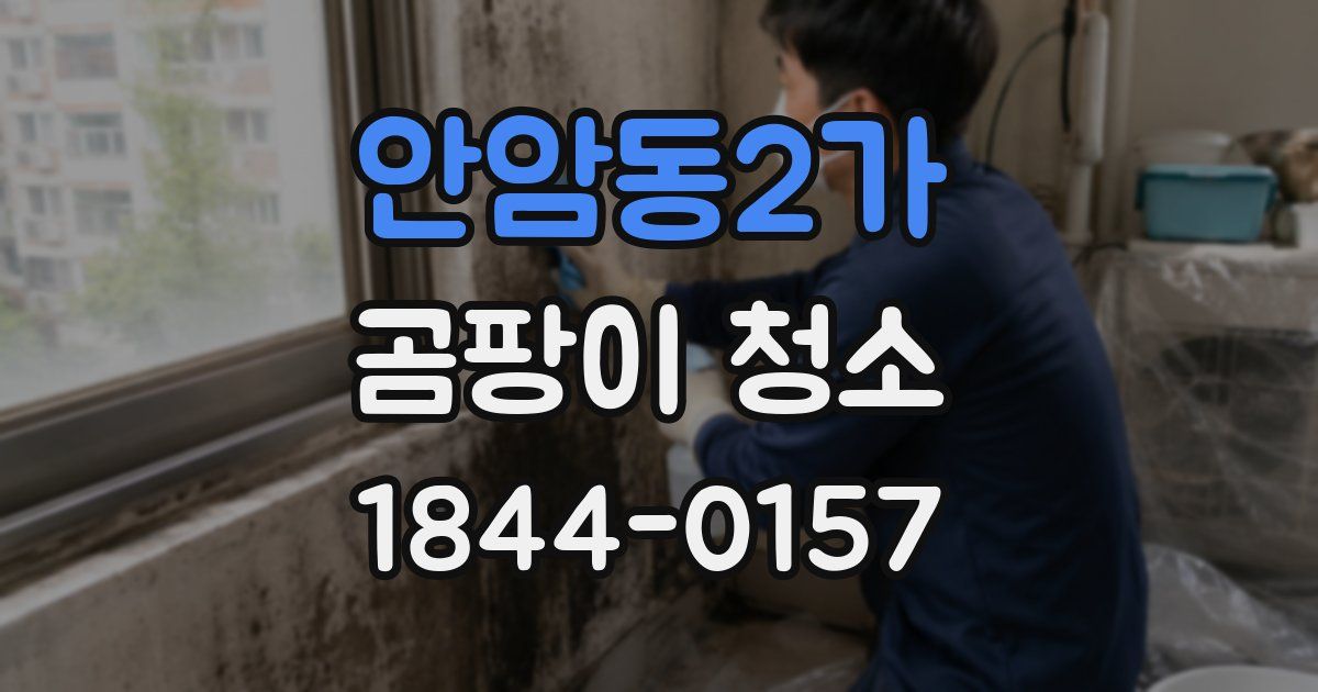 안암동2가 곰팡이 청소
