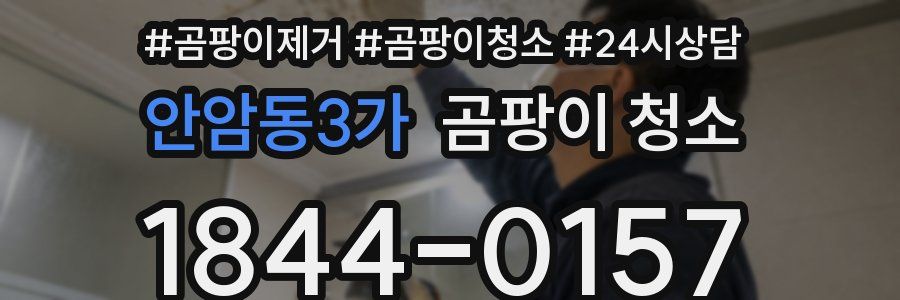 안암동3가 곰팡이 청소