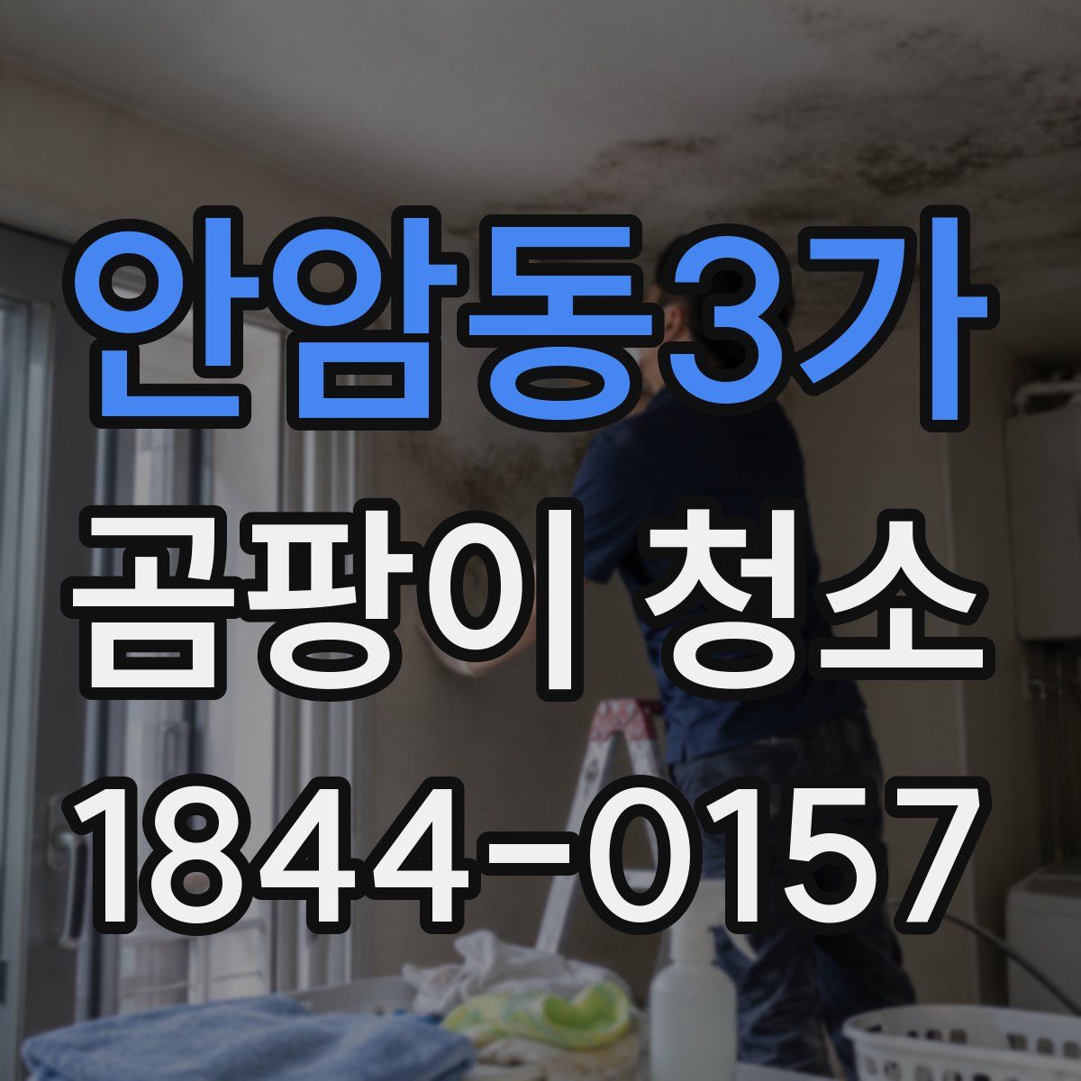 안암동3가 곰팡이 청소