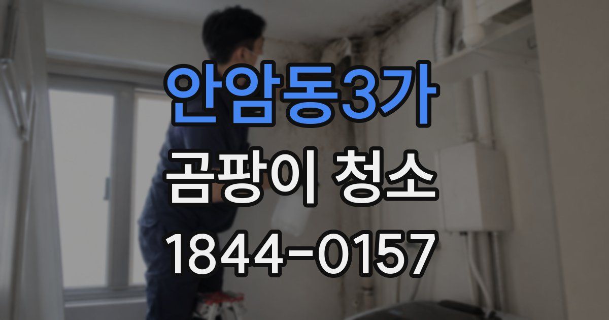 안암동3가 곰팡이 청소