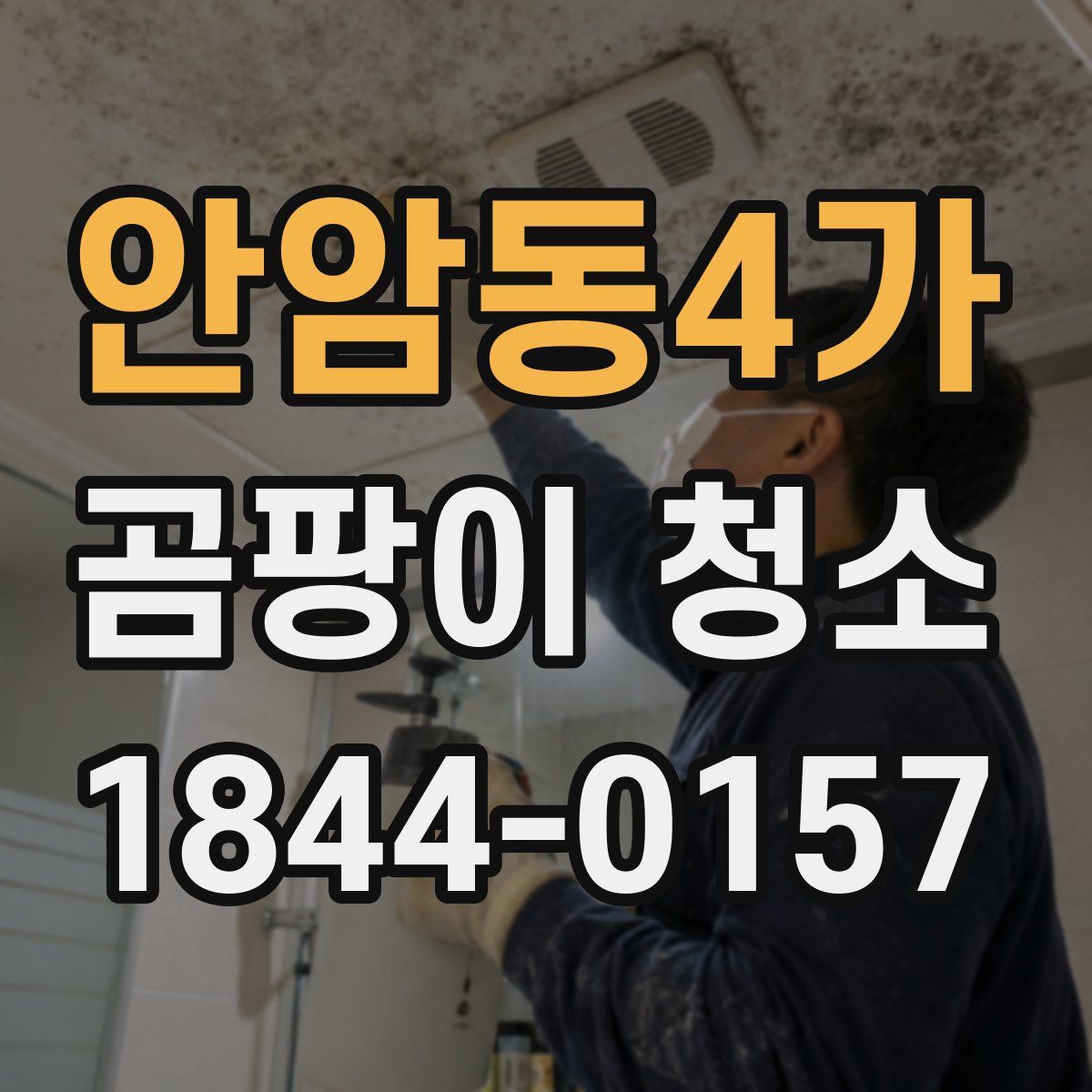 안암동4가 곰팡이 청소