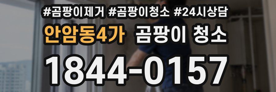 안암동4가 곰팡이 청소