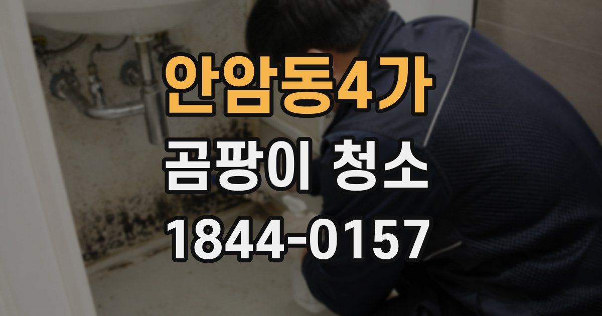 안암동4가 곰팡이 청소