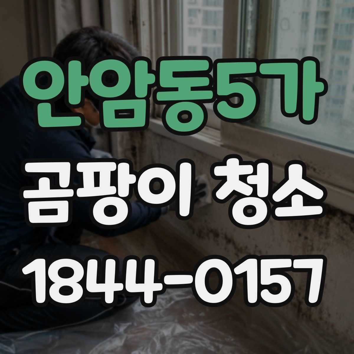 안암동5가 곰팡이 청소 천장 누수 흔적과 함께 살펴볼 점