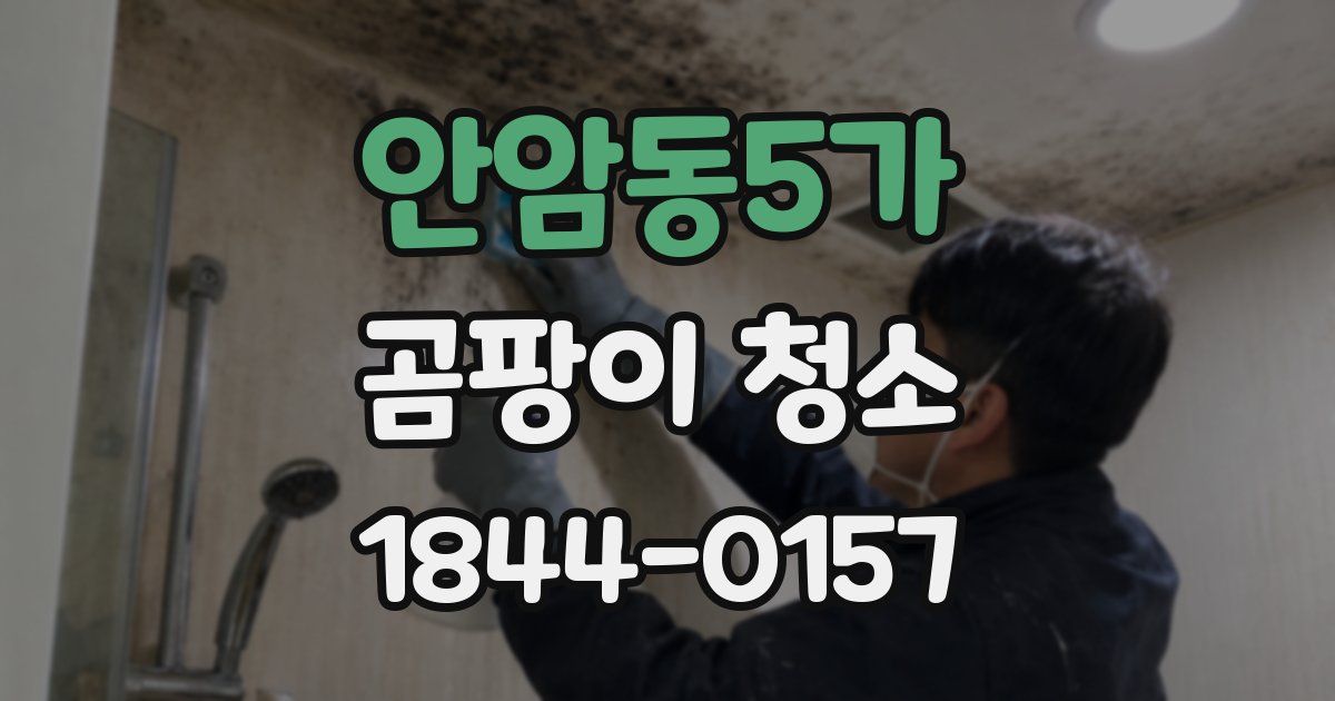 안암동5가 곰팡이 청소