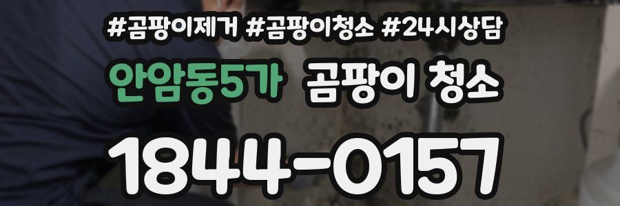 안암동5가 곰팡이 청소