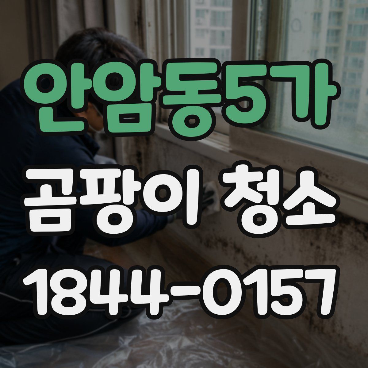 안암동5가 곰팡이 청소