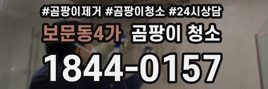 보문동4가 곰팡이 청소