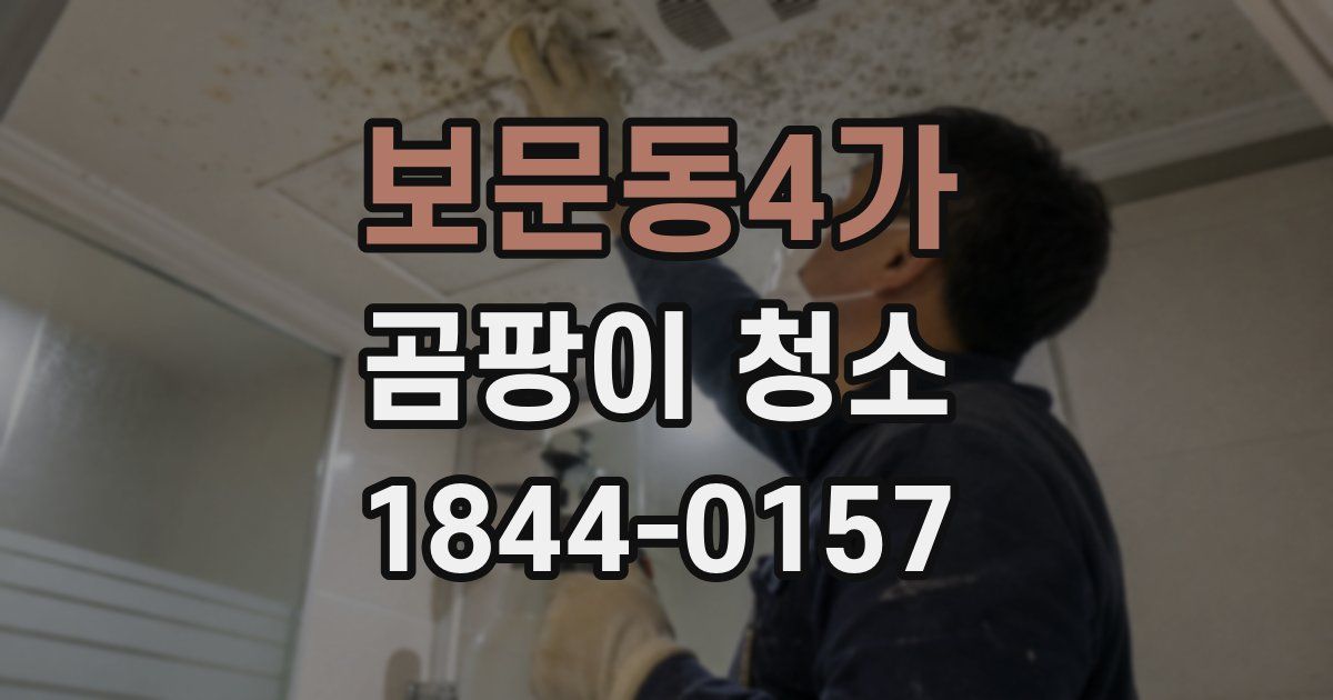 보문동4가 곰팡이 청소