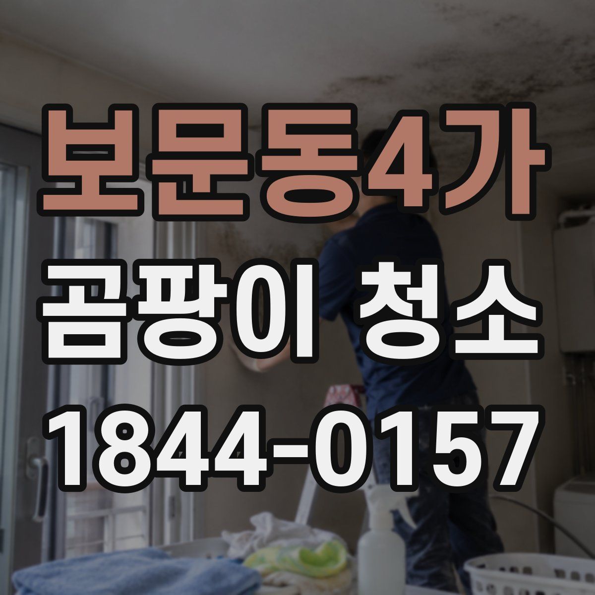 보문동4가 곰팡이 청소