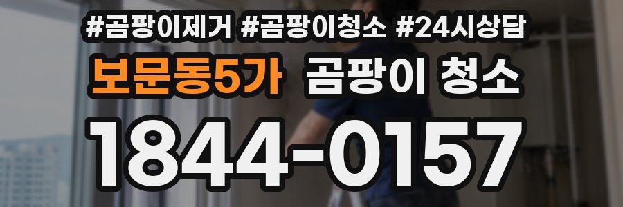 보문동5가 곰팡이 청소