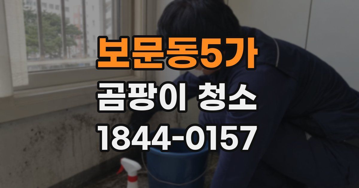 보문동5가 곰팡이 청소