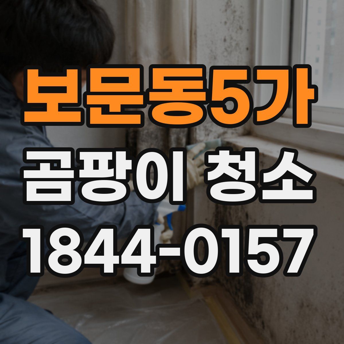 보문동5가 곰팡이 청소