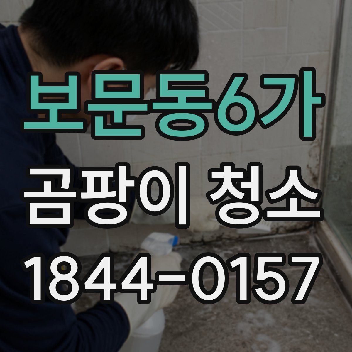 보문동6가 곰팡이 청소