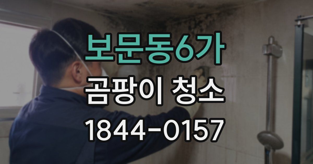 보문동6가 곰팡이 청소