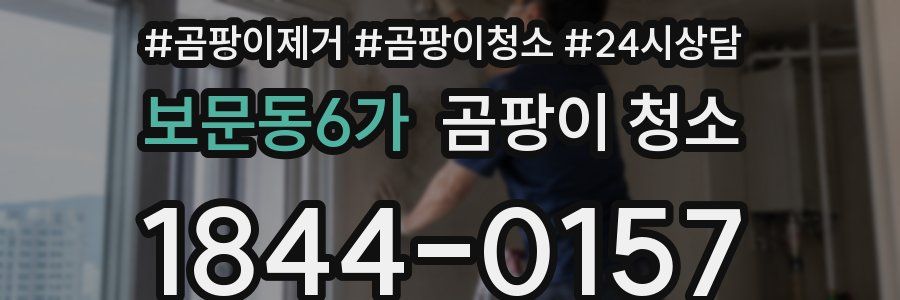보문동6가 곰팡이 청소