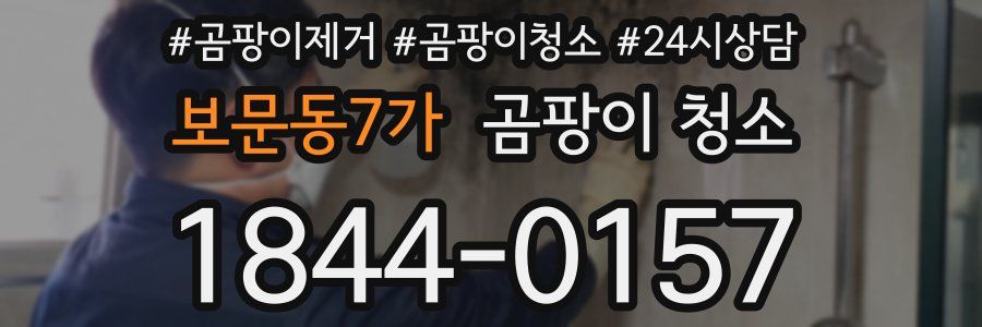 보문동7가 곰팡이 청소
