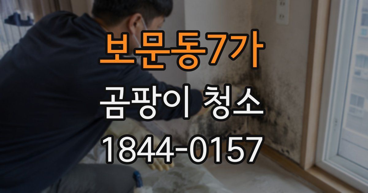 보문동7가 곰팡이 청소