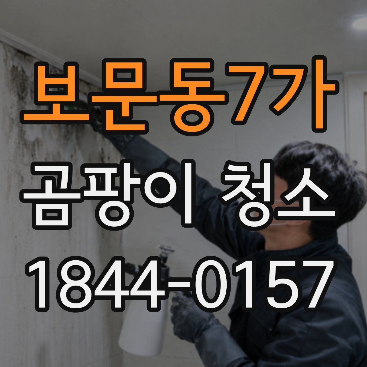 보문동7가 곰팡이 청소