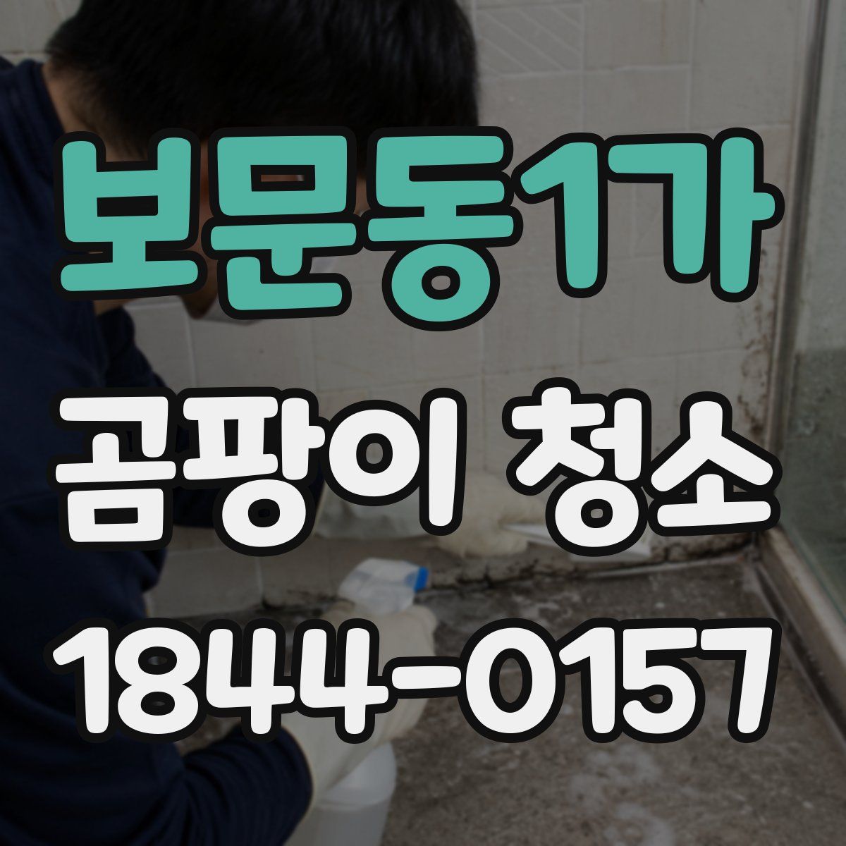 보문동1가 곰팡이 청소