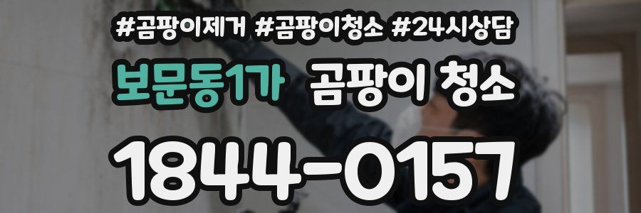 보문동1가 곰팡이 청소