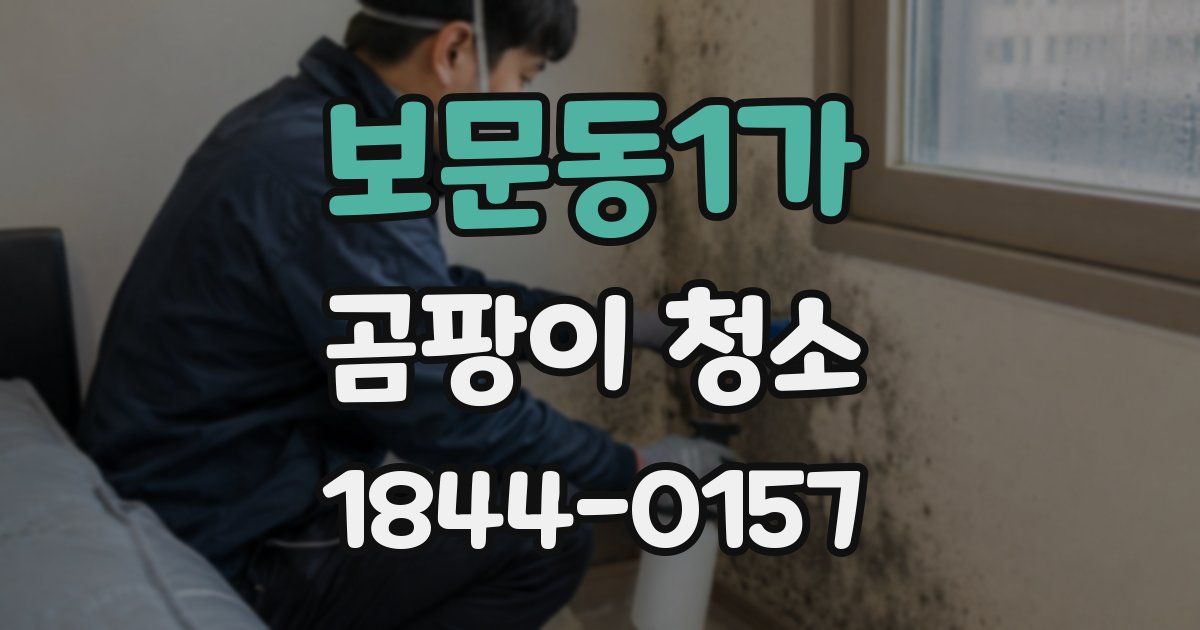 보문동1가 곰팡이 청소