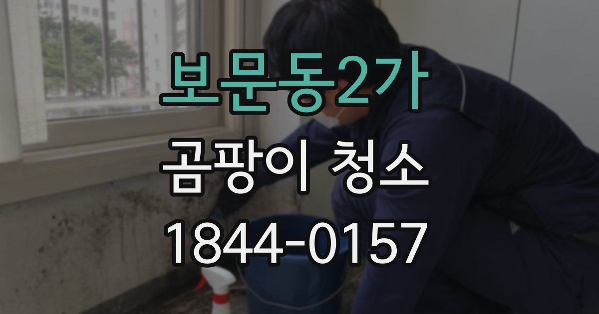 보문동2가 곰팡이 청소