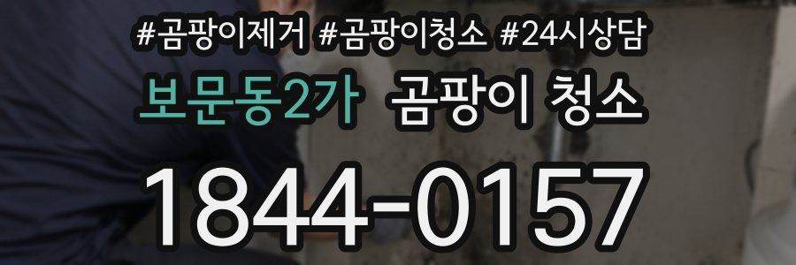 보문동2가 곰팡이 청소