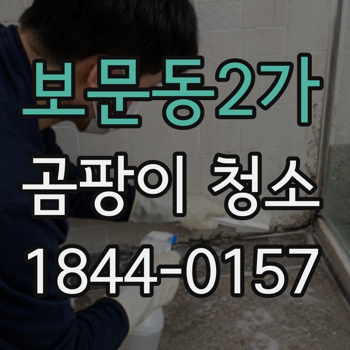 보문동2가 곰팡이 청소
