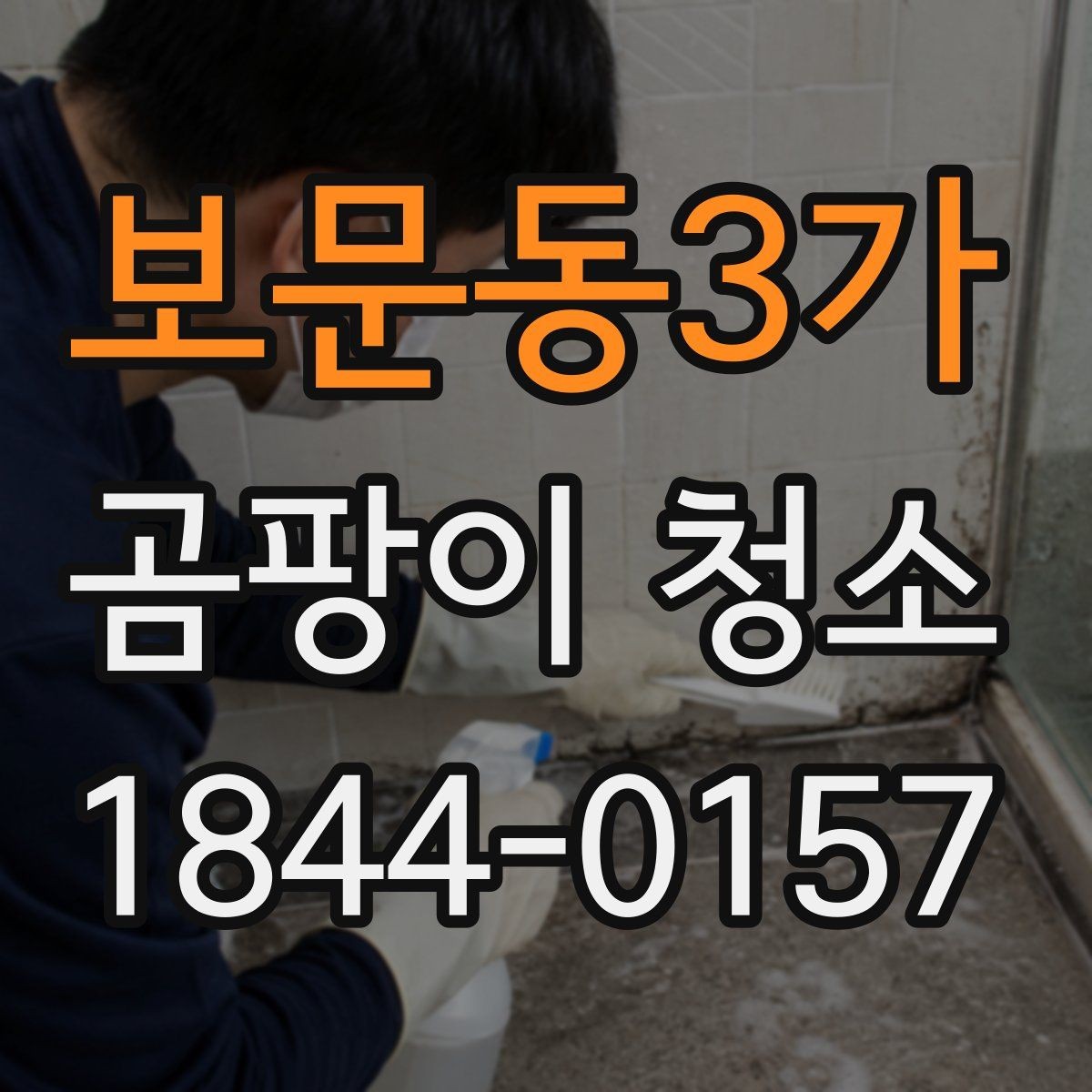 보문동3가 곰팡이 청소 예약 전 입주 공간 오염 포인트 확인법