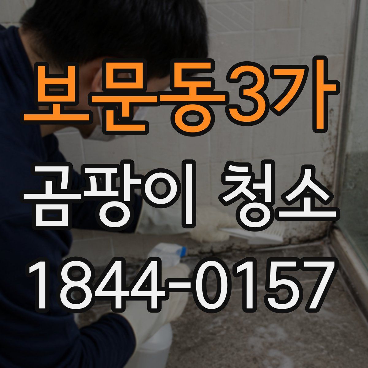 보문동3가 곰팡이 청소