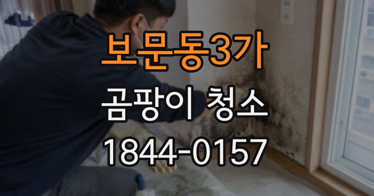 보문동3가 곰팡이 청소