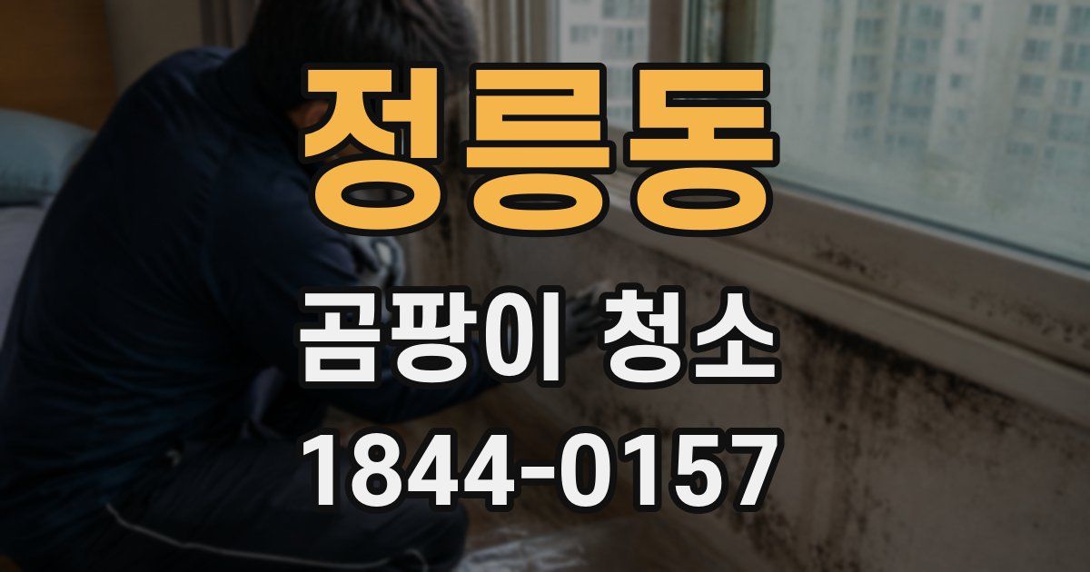 정릉동 곰팡이 청소